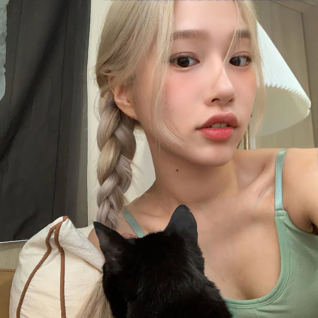 五香宫的猫